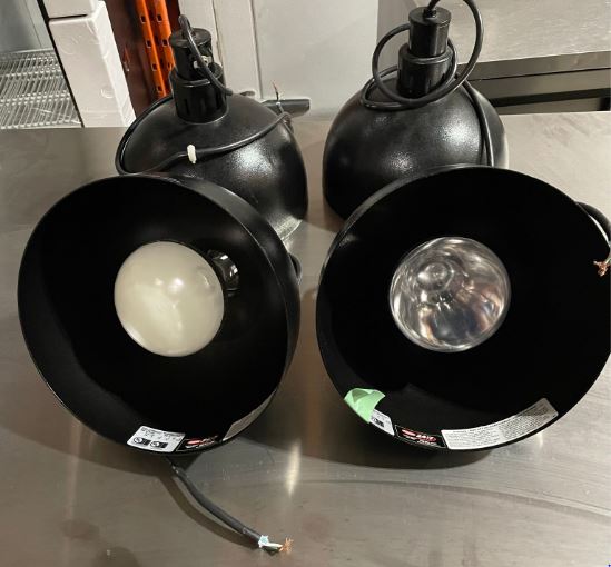 Thumbnail - Hatco DL-750-RTL Decorative Lamps (2)